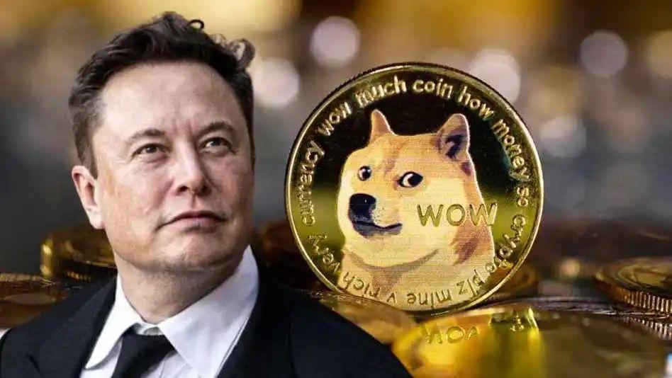 狗狗幣今日最新價格,狗狗幣今日最新價格，市場走勢與前景展望