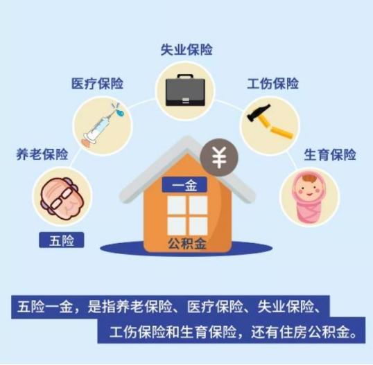 社保最新政策,社保最新政策，構建更加公平可持續(xù)的社會保障體系