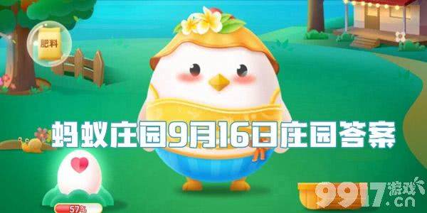 螞蟻莊園答案最新,螞蟻莊園答案最新解析與探討