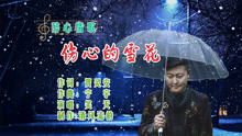 最新傷感情歌,最新傷感情歌，觸動心靈深處的哀傷旋律