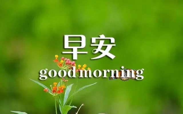 第5298頁(yè)