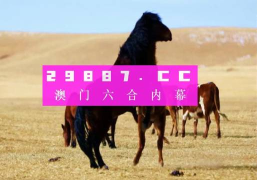 993994www跑狗玄機,揭秘993994www跑狗玄機——探尋背后的真相與秘密