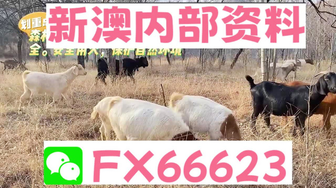 新澳2024今晚開獎(jiǎng)資料四不像,新澳2024今晚開獎(jiǎng)資料四不像，探索彩票背后的故事與奧秘