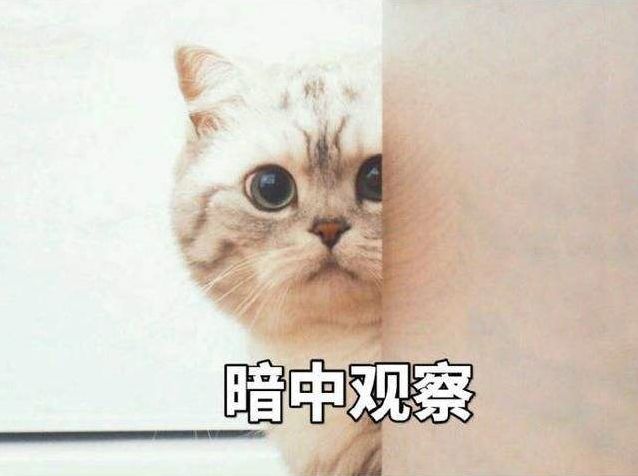 澳門一碼一肖一待一中四不像,澳門一碼一肖一待一中四不像，探索與解析