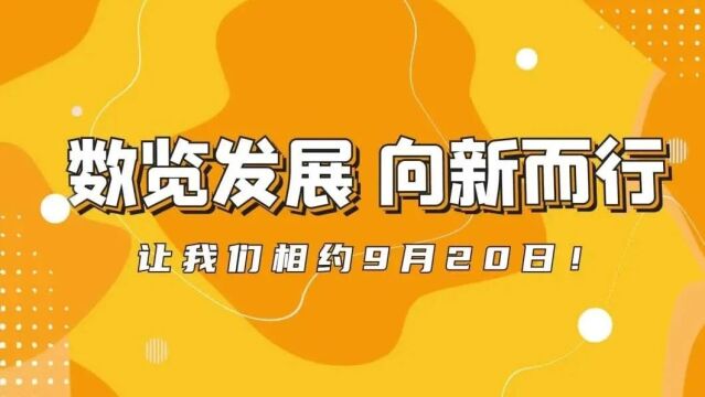 2024年12月3日 第12頁