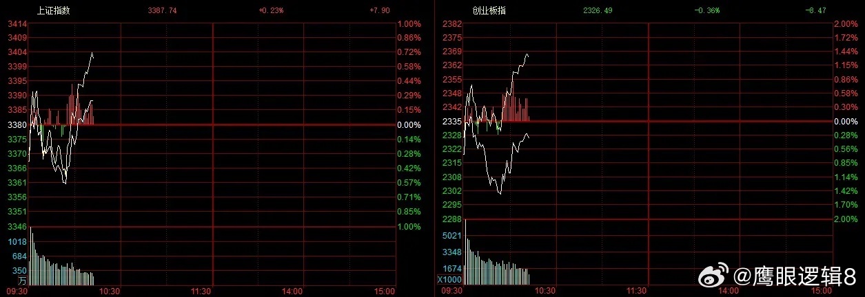 2024年12月7日 第19頁