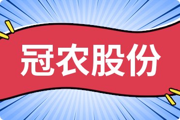 2024年12月11日 第24頁