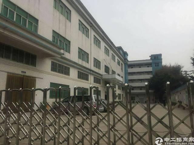 深圳公明田寮最新招聘,深圳公明田寮最新招聘，職業(yè)發(fā)展的新天地