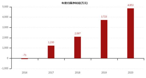 600701工大高新最新消息,工大高新最新消息，深度解析與前景展望