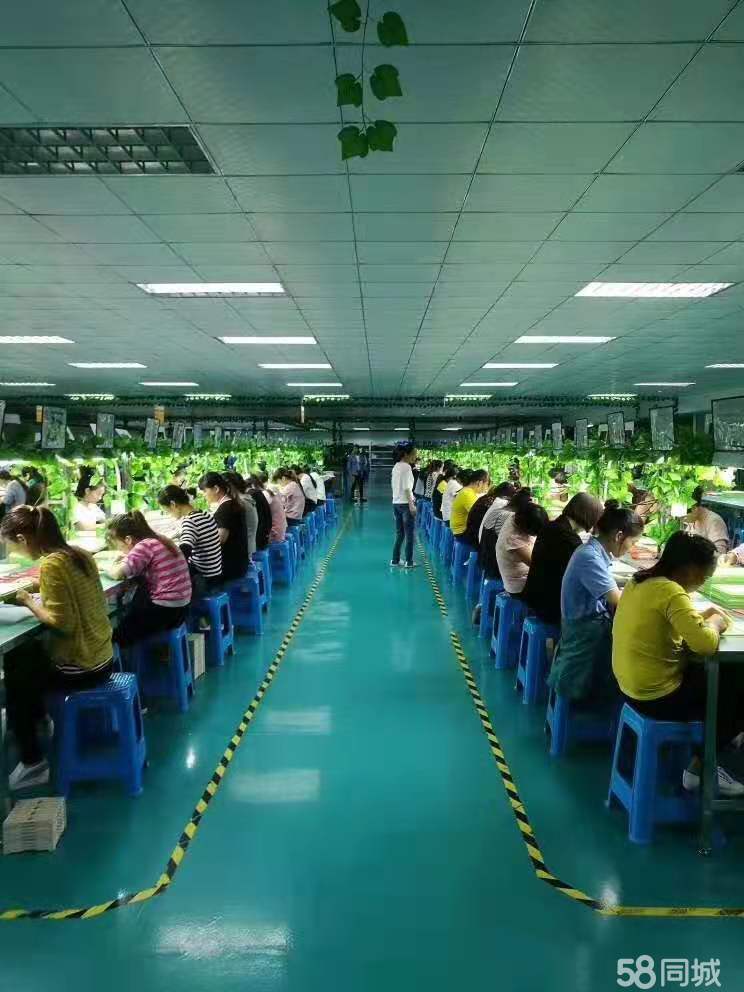 株洲最新普工招聘信息,株洲最新普工招聘信息概覽