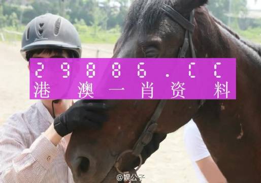 澳門今晚必中一肖一碼準(zhǔn)確9995|細(xì)致釋義解釋落實(shí),細(xì)致釋義解釋落實(shí)，澳門今晚必中一肖一碼準(zhǔn)確9995