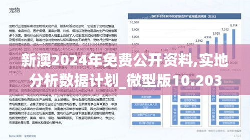 2025新澳免費(fèi)資料40期|公司釋義解釋落實(shí),新澳公司，深入解析與落實(shí)2025年免費(fèi)資料計(jì)劃