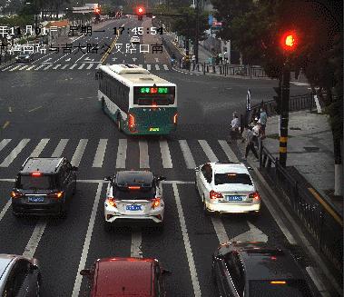 珠海駕車撞行人的原因|政策釋義解釋落實(shí),珠海駕車撞行人原因探究，政策釋義、解釋與落實(shí)的重要性