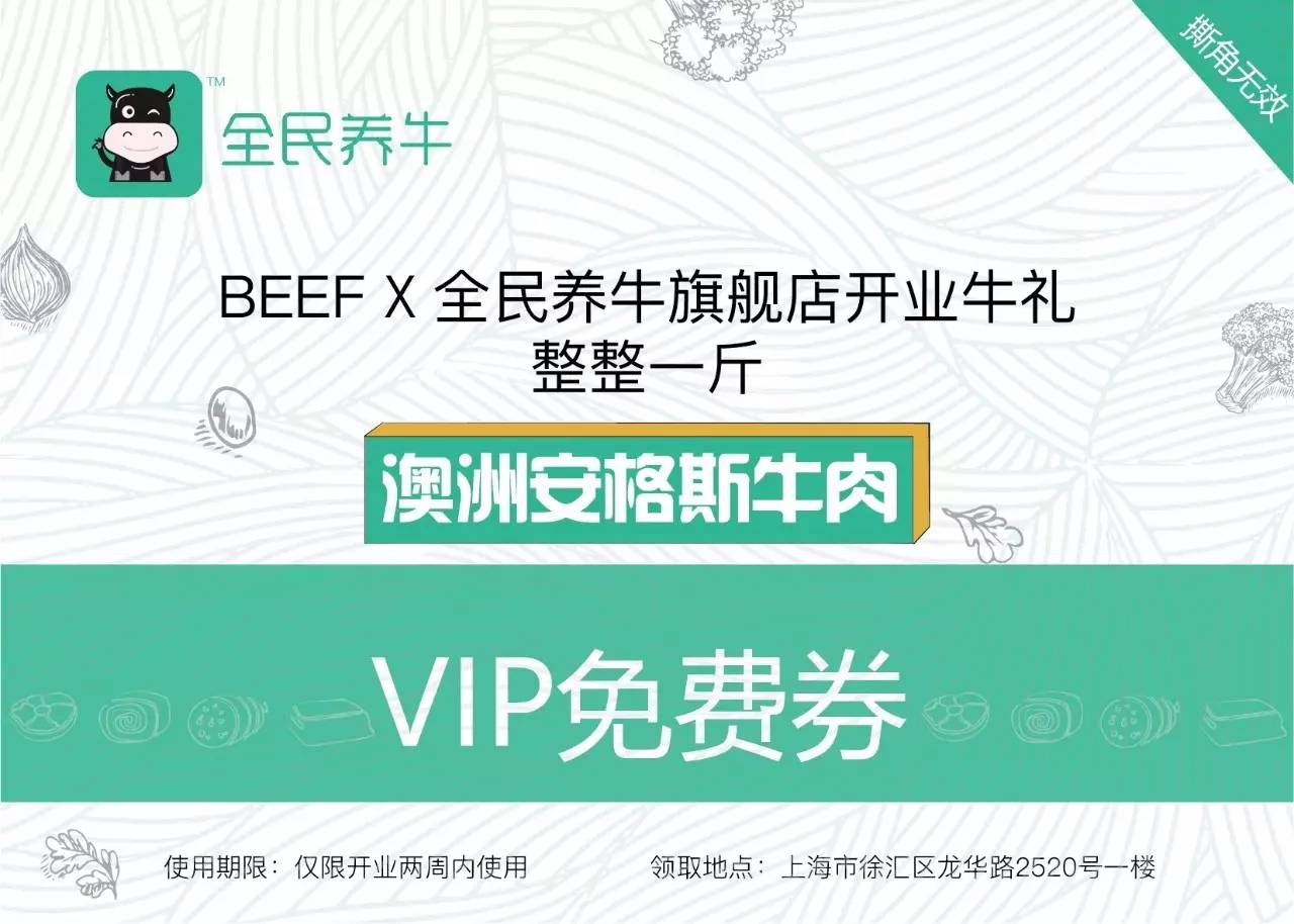 2025新澳資料免費(fèi)大全一肖|盛大釋義解釋落實(shí),新澳資料大全一肖盛大釋義解釋落實(shí)，未來的藍(lán)圖與行動指南