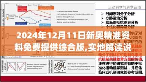 新澳姿料大全正版資料2025|走向釋義解釋落實(shí),新澳姿料大全正版資料2025，走向釋義解釋落實(shí)