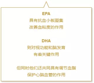 2025新澳精準(zhǔn)資料免費提供下載|容忍釋義解釋落實,探索未來之路，關(guān)于新澳精準(zhǔn)資料的共享與容忍精神的實踐