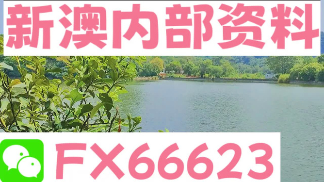 新澳精準(zhǔn)資料期期精準(zhǔn)|效能釋義解釋落實(shí),新澳精準(zhǔn)資料期期精準(zhǔn)，效能釋義、解釋與落實(shí)的深度探討