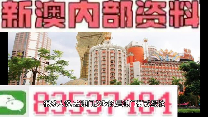 新澳門全年資料內(nèi)部公開|迎難釋義解釋落實(shí),新澳門全年資料內(nèi)部公開，迎難釋義、解釋落實(shí)