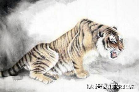 今晚四不像必中一肖圖118|話題釋義解釋落實,今晚四不像必中一肖圖118，話題釋義解釋落實