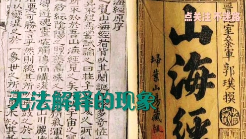 劉伯溫四碼八肖八碼鳳凰視頻|穩(wěn)健釋義解釋落實(shí),劉伯溫四碼八肖八碼鳳凰視頻與穩(wěn)健釋義的解釋落實(shí)