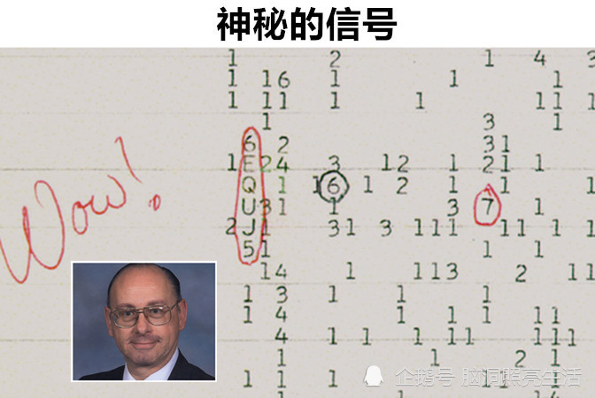 2025香港歷史開獎結果是什么|瞬時釋義解釋落實,探索過去與未來，香港歷史開獎結果及瞬時釋義與實施的深度解析