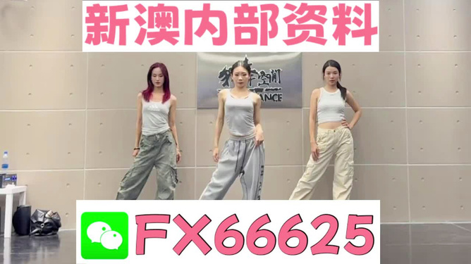 管家婆一碼中一肖2025|寬厚釋義解釋落實,管家婆一碼中一肖與寬厚釋義，解讀與落實的探討