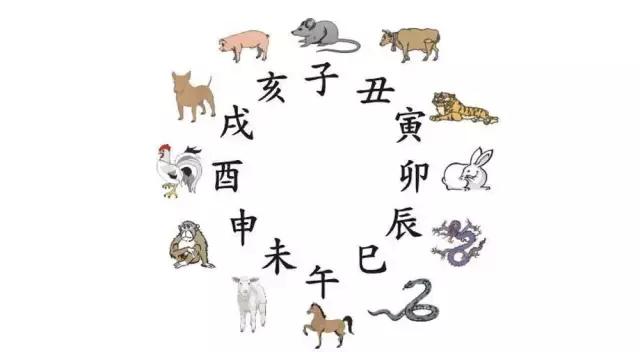 2025十二生肖49個(gè)碼|守信釋義解釋落實(shí),2025年十二生肖與守信釋義，探索49個(gè)碼背后的文化精髓與行動落實(shí)