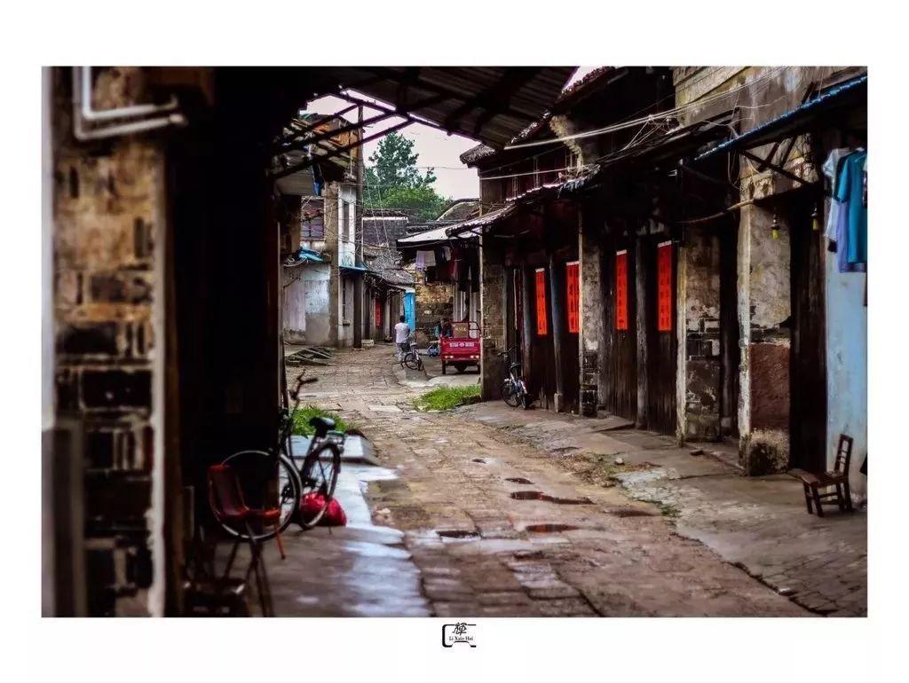 最準(zhǔn)一碼一肖100%精準(zhǔn)老錢莊揭秘|下的釋義解釋落實(shí),最準(zhǔn)一碼一肖，揭秘老錢莊下的精準(zhǔn)預(yù)測與釋義落實(shí)