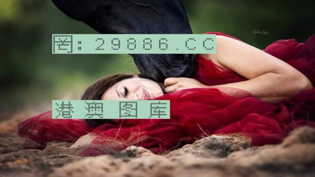2025年正版4949資料正版免費(fèi)大全|解說(shuō)釋義解釋落實(shí),關(guān)于2025年正版4949資料正版免費(fèi)大全的解說(shuō)與落實(shí)策略