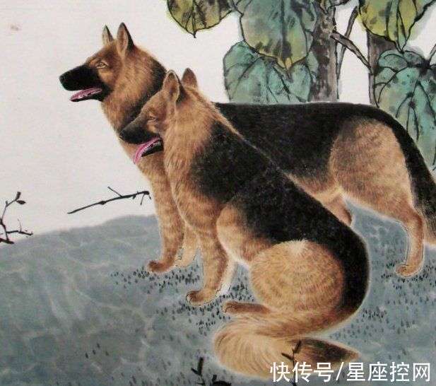 7777788888精準(zhǔn)跑狗圖|踏實釋義解釋落實,探索精準(zhǔn)跑狗圖與踏實的內(nèi)涵，一種實踐中的落實釋義
