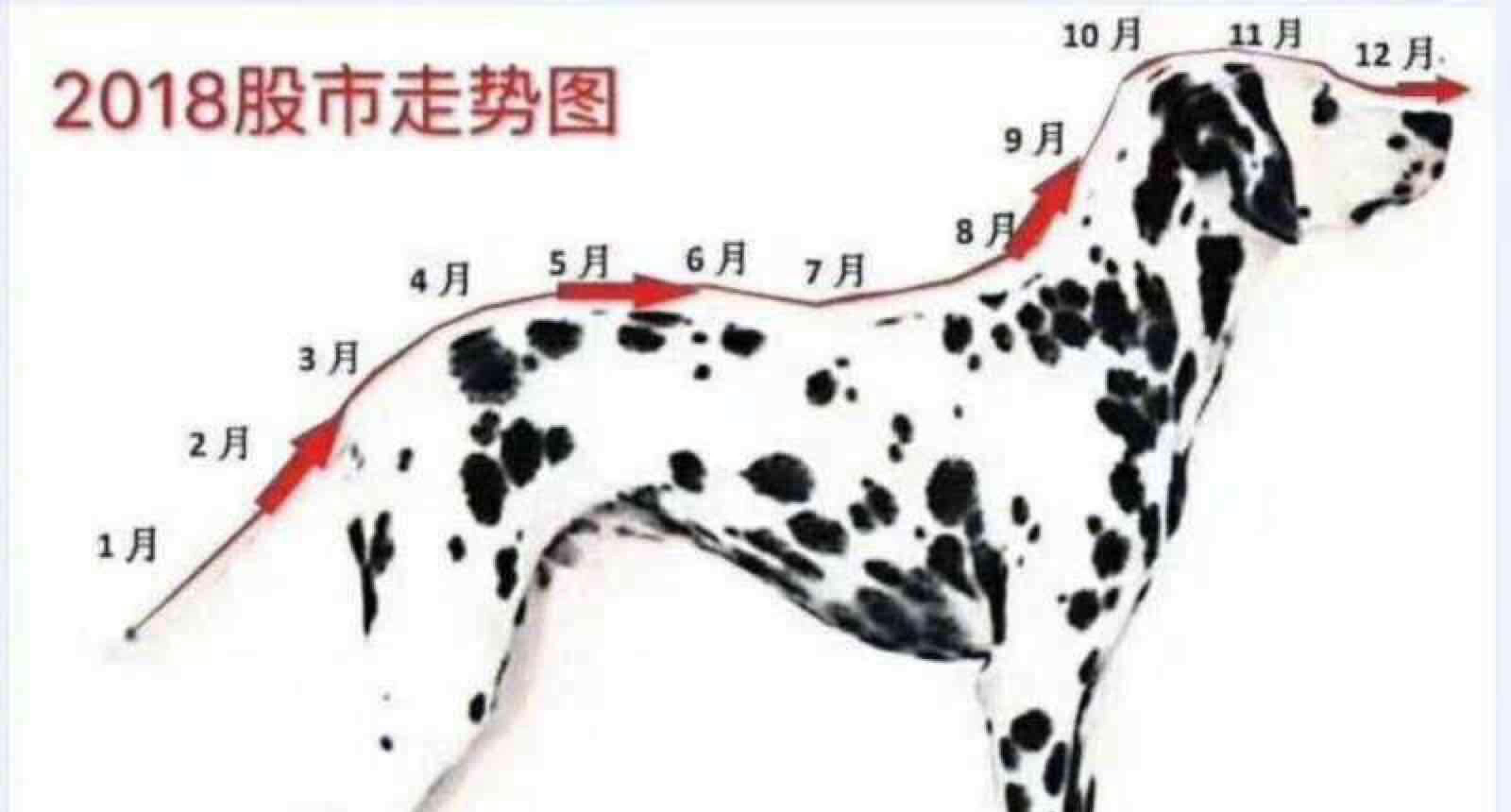 7777788888精準跑狗圖正版|定奪釋義解釋落實,探索精準跑狗圖正版與定奪釋義的落實之路