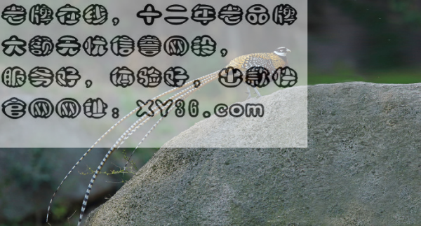 2025年3月30日 第21頁