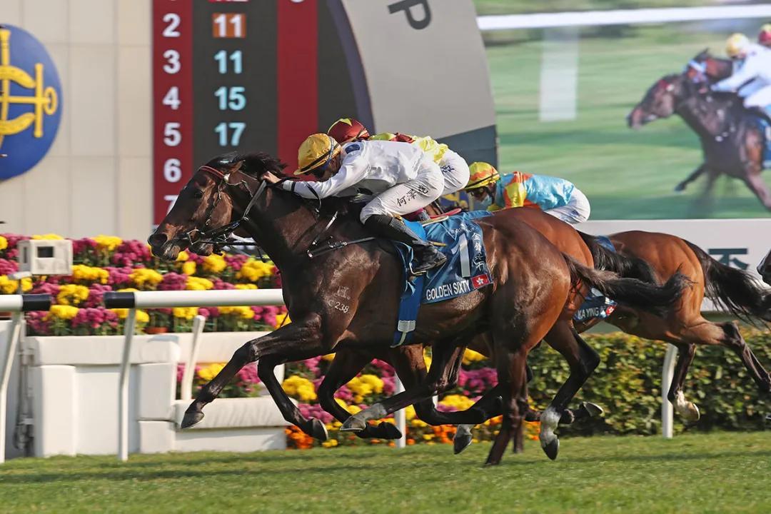2025香港今期開獎號碼馬會|合適釋義解釋落實,關于香港馬會彩票開獎號碼的探討與解讀——以2025年為例