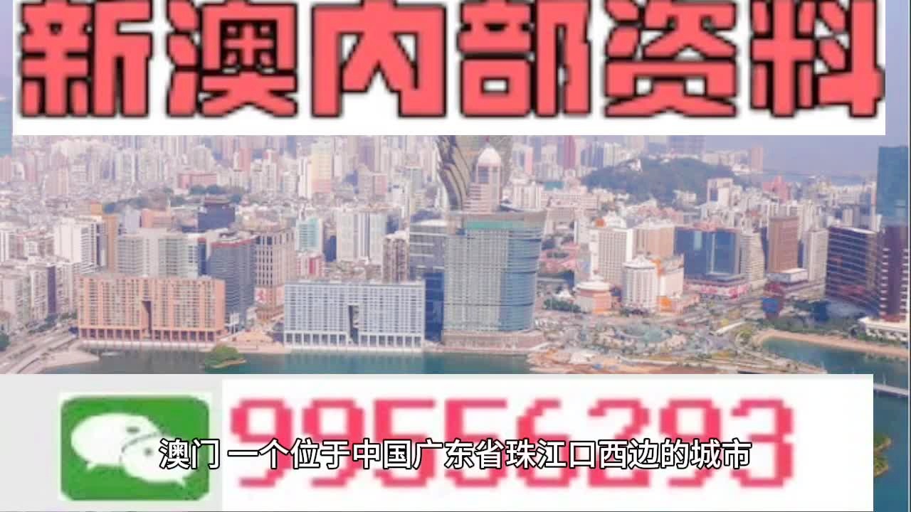 新澳門資料大全正版資料2025|社交釋義解釋落實,新澳門資料大全正版資料與社交釋義解釋落實，探索與理解