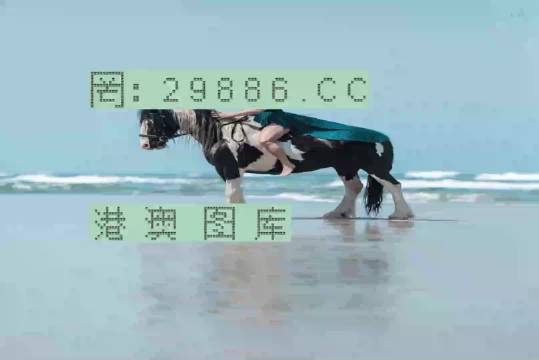 今晚一肖一碼澳門一肖com|盛大釋義解釋落實,今晚一肖一碼澳門一肖盛大釋義解釋落實深度解析