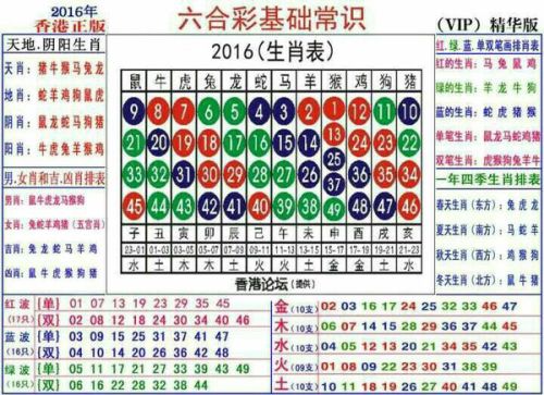 2025十二生肖49碼表|真摯釋義解釋落實(shí),十二生肖與數(shù)字49的奇妙結(jié)合，真摯釋義、解釋與落實(shí)