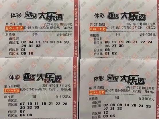 2025天天彩正版資料大全|鏈管釋義解釋落實,探索未來彩票世界，2025天天彩正版資料大全與鏈管釋義的深度解讀與實施策略