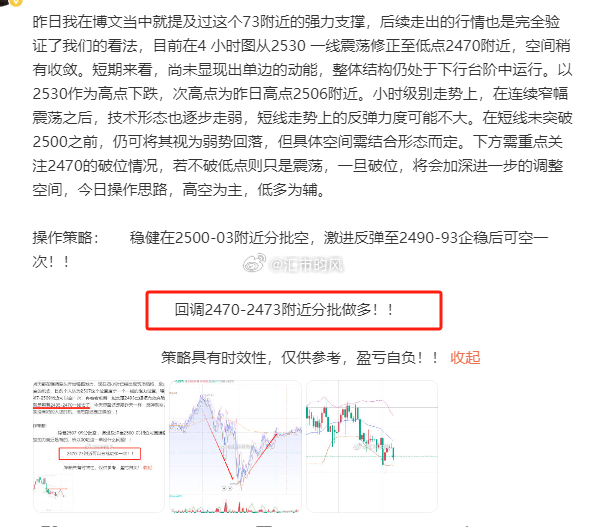 一肖一碼100-準(zhǔn)資料|琢磨釋義解釋落實(shí),一肖一碼，深度解讀與落實(shí)策略