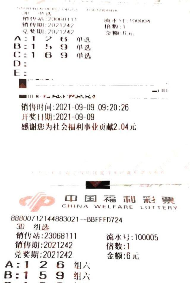 新澳門天天彩期期精準|接近釋義解釋落實,新澳門天天彩期期精準，接近釋義解釋與落實的探討