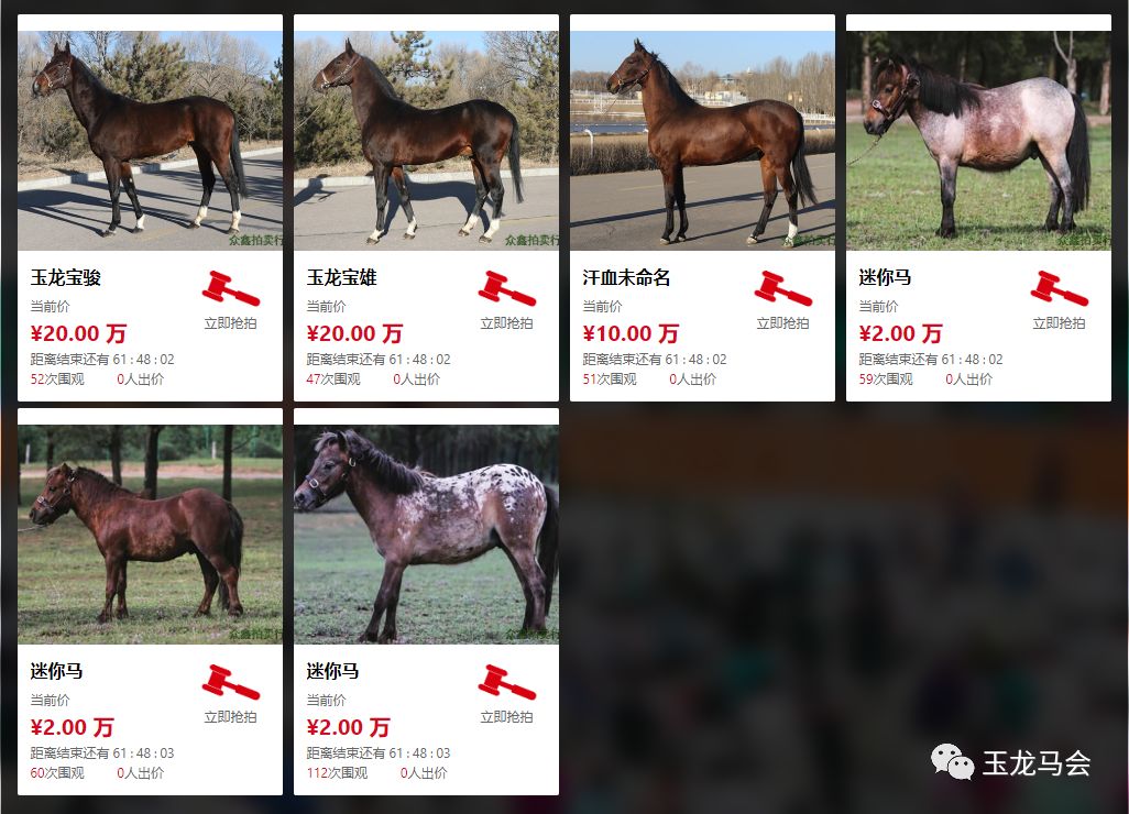 2025澳門買馬最準(zhǔn)網(wǎng)站|國(guó)產(chǎn)釋義解釋落實(shí),探索澳門馬匹交易，最準(zhǔn)確的網(wǎng)站與國(guó)產(chǎn)釋義解釋落實(shí)的重要性