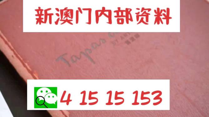 新澳門最準資料免費網(wǎng)站|先驅(qū)釋義解釋落實,探索新澳門，最準資料免費網(wǎng)站與先驅(qū)釋義的完美結(jié)合